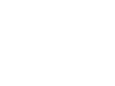 Information to Insight - Logo